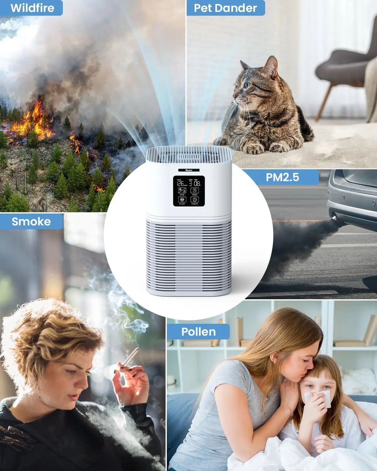 2 in 1 Air Purifier, Odor Eliminator