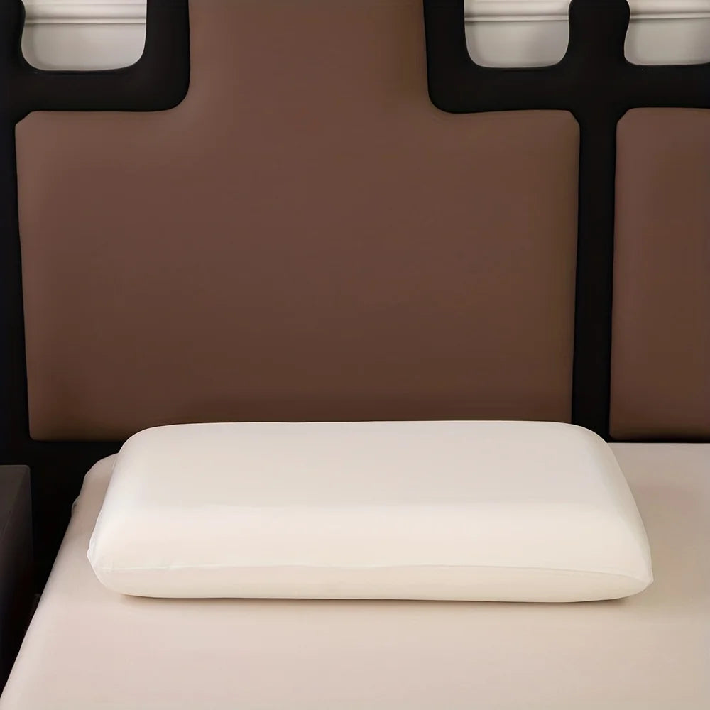 Memory sponge sleep pillow