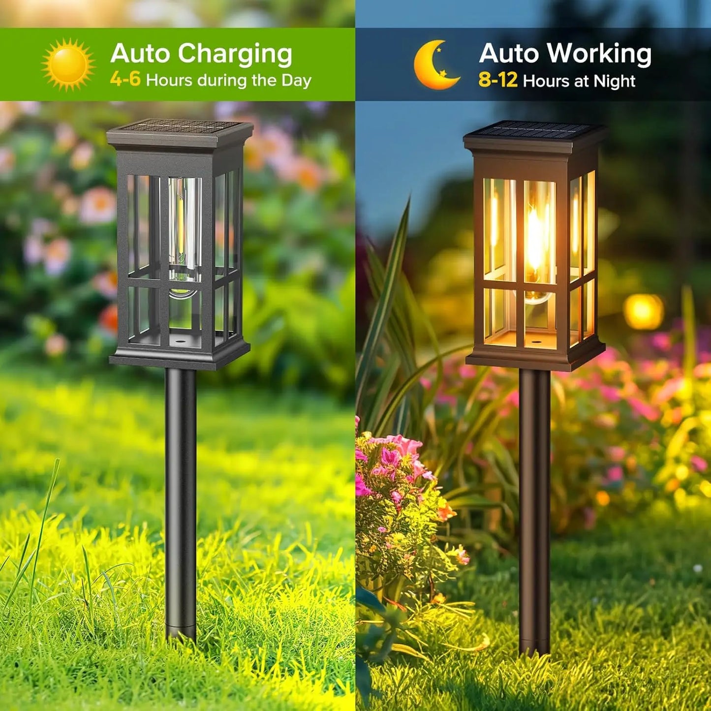 2/6/8 Pack Solar Pathway Lights