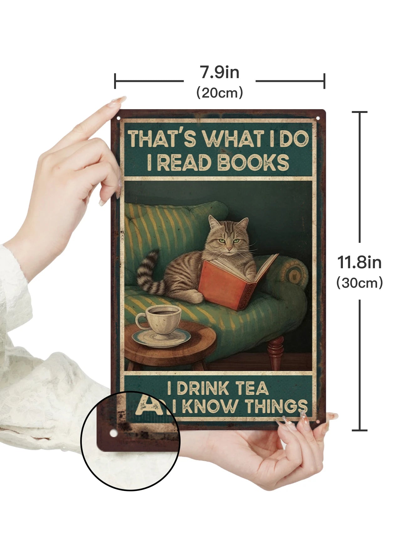 Cat Metal Plaque 7.9 X 11.8 Inches