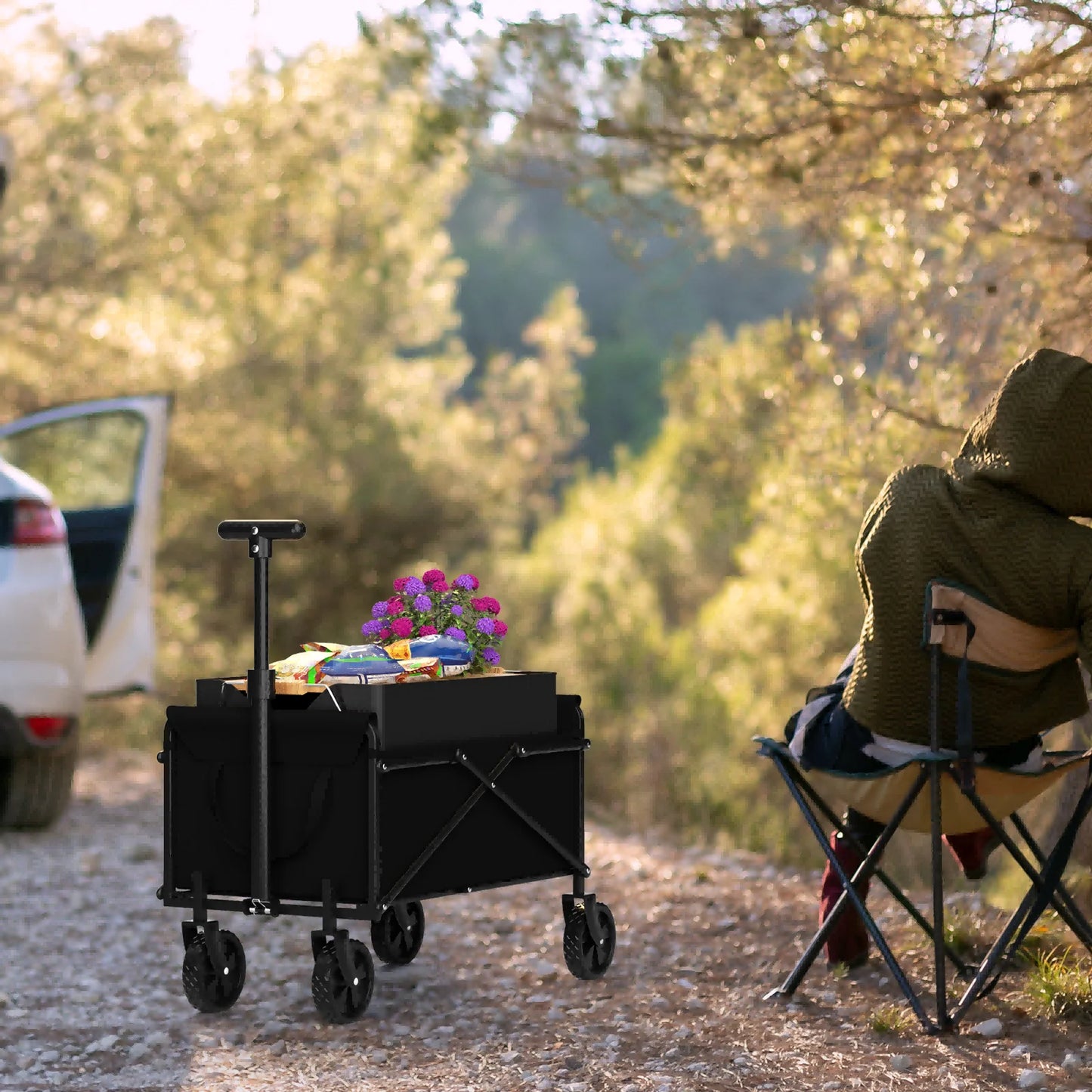 Folding Wagon