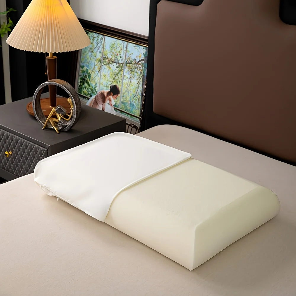 Memory sponge sleep pillow
