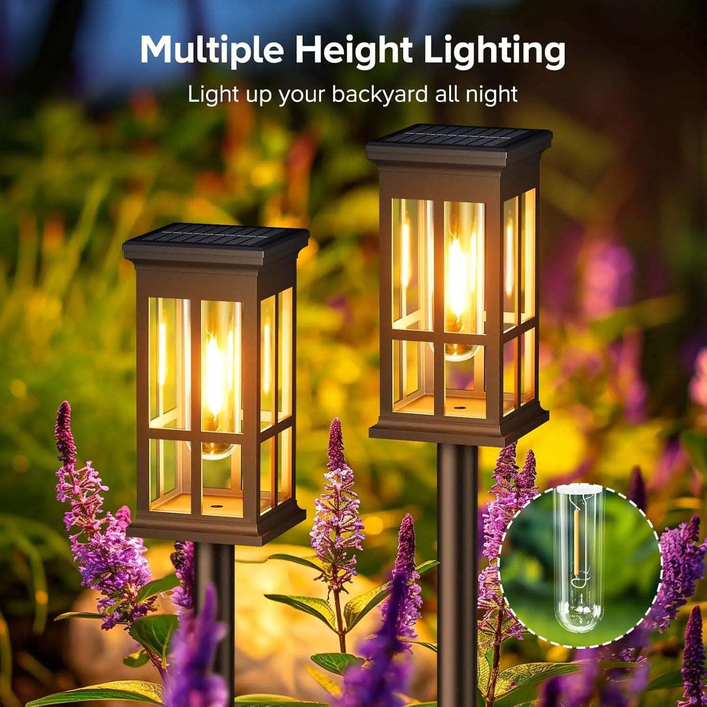 2/6/8 Pack Solar Pathway Lights