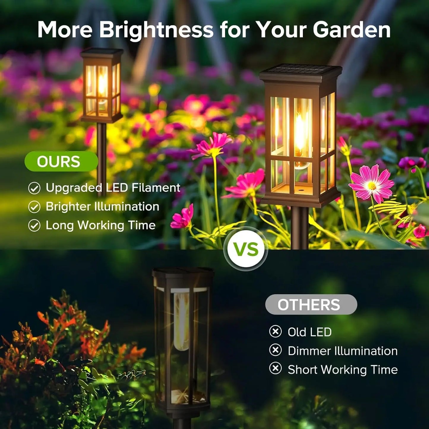 2/6/8 Pack Solar Pathway Lights